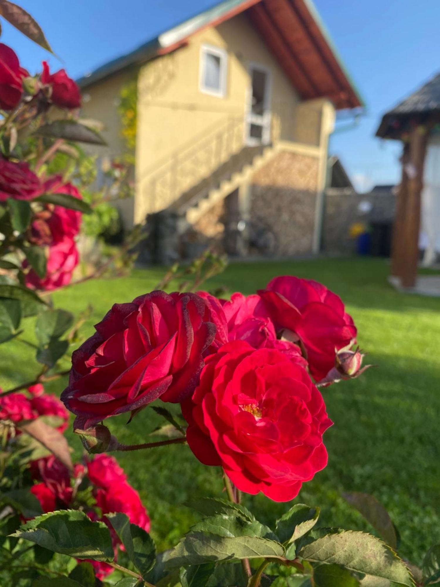 Casa Moldovan Окна-Шугатаг Экстерьер фото